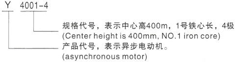 Y系列6KV高压三相异步电机——西安泰富西玛电机（西安西玛电机集团股份有限公司）官方网站