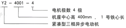 西安泰富西玛电机Y2系列6KV高压三相异步电动机