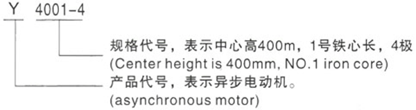 Y系列(H400-500)380V低压大功率三相异步电机——西安泰富西玛电机（产品简介|技术参数|安装图纸|样本下载）